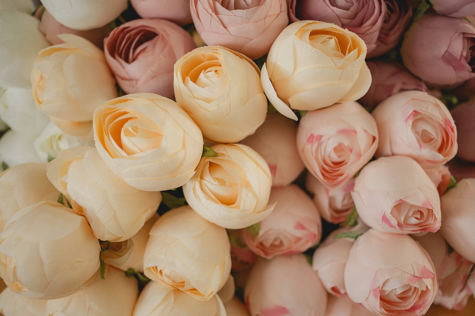 2D5C8025 Perfect Peony Bundle - Image 1