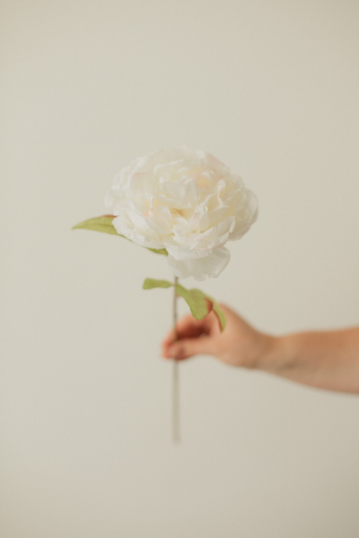 2D5C8772 Large Peony - Image 1
